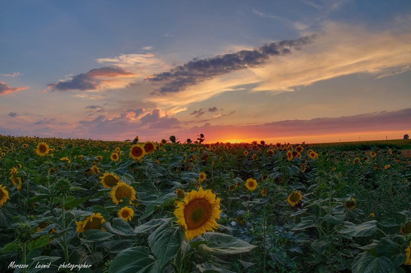#nature, #туман, #лес, #oсень, #украина, #карпаты, #пейзаж, #закат, #туман, #солнце, #свет, #mountain range, #mountains, #туризм, #лес, #nature, #природа, *** фото превью