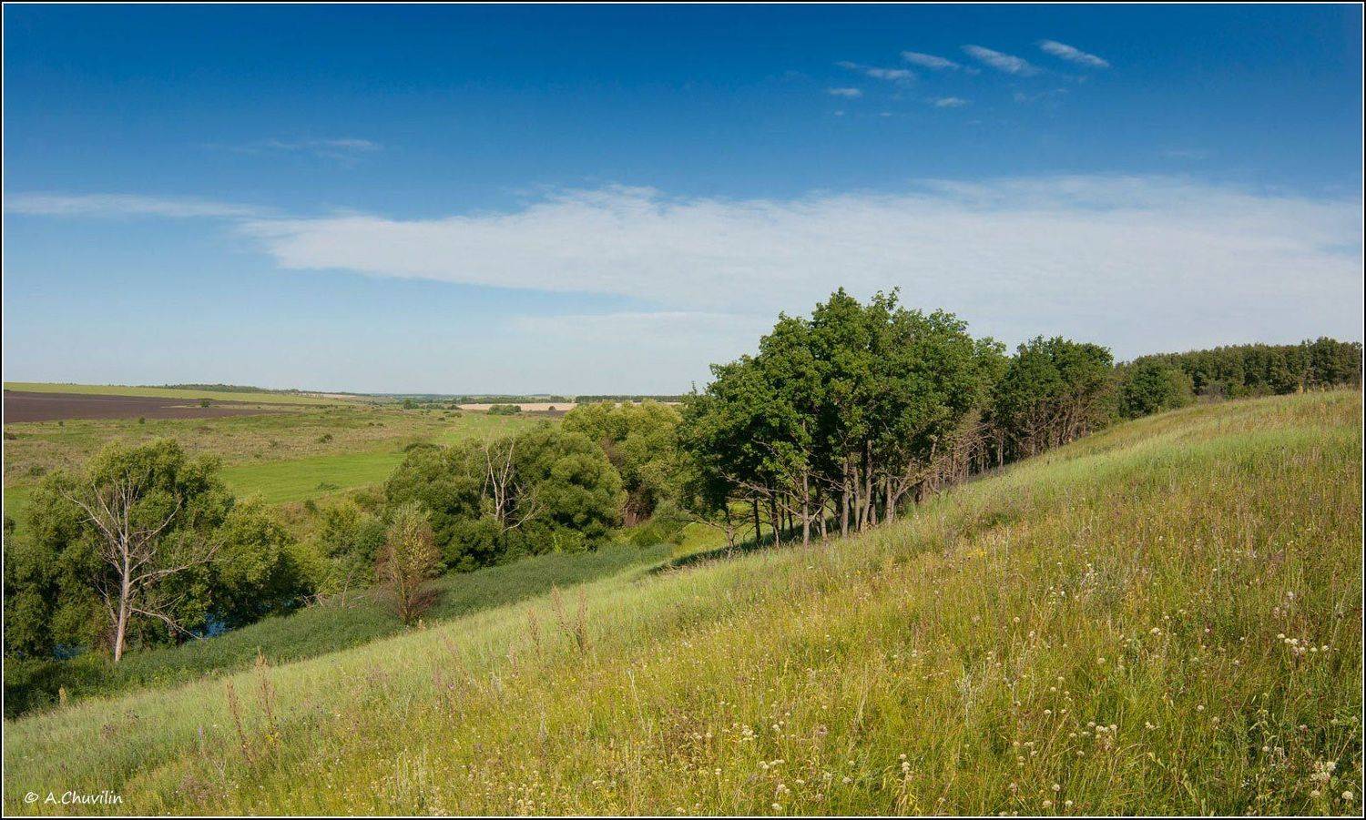 памятник,природы,урочище,татинки,тульская,область, Александр Чувилин