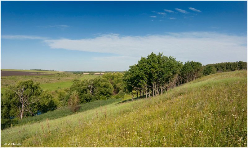 памятник,природы,урочище,татинки,тульская,область Урочище \