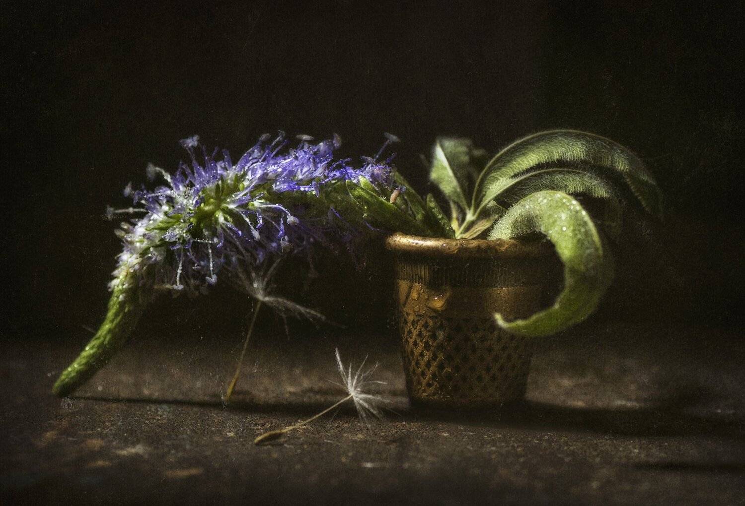 цветок, напёрсток,капли,текстура,пыль, Владимир Володин