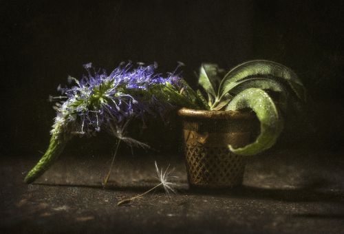 Оставшийся...