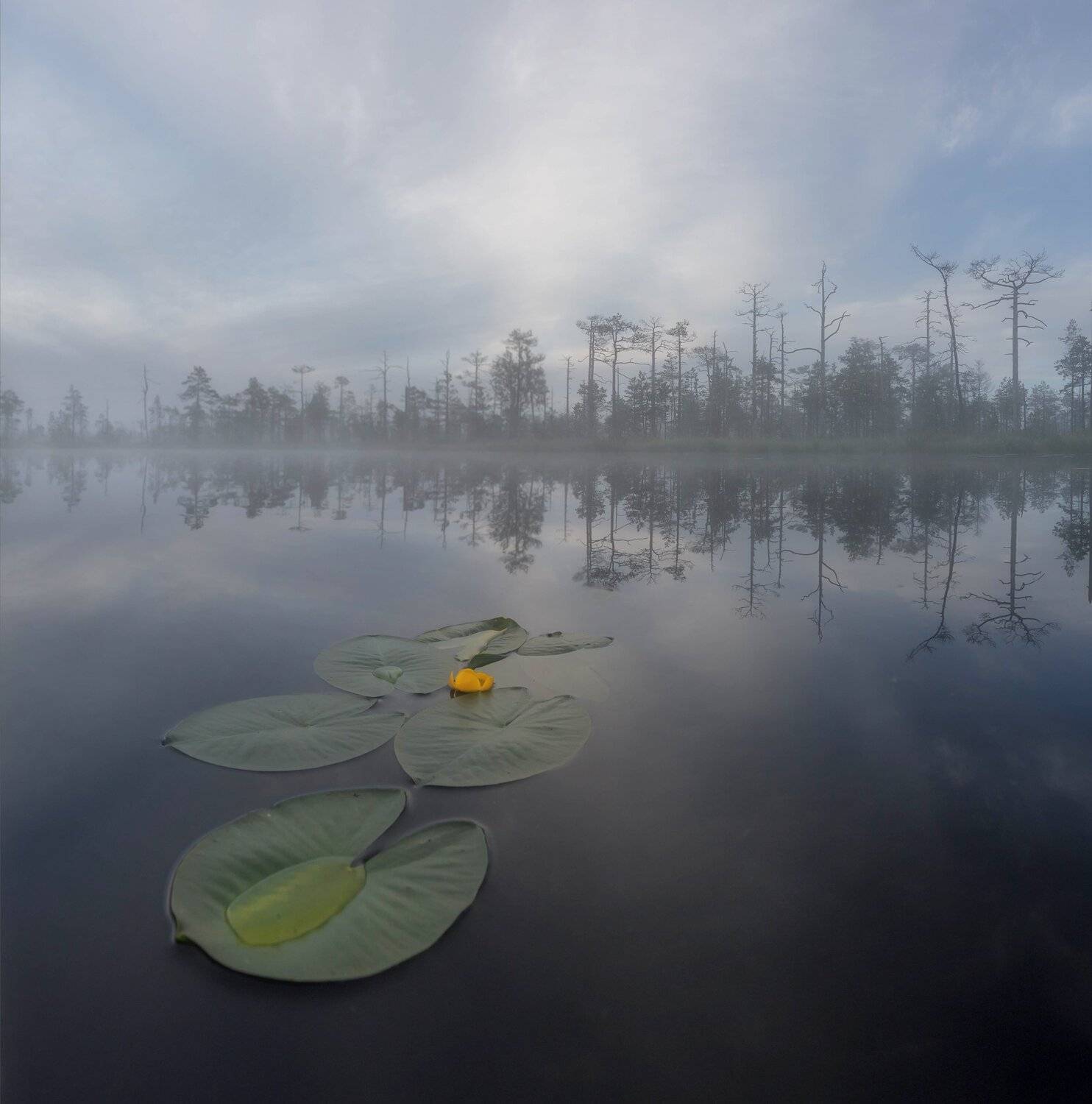 болото, кайф, рассвет ,север ,солнце, свет, закат, облака, отражение, фототур, Павел Ващенков