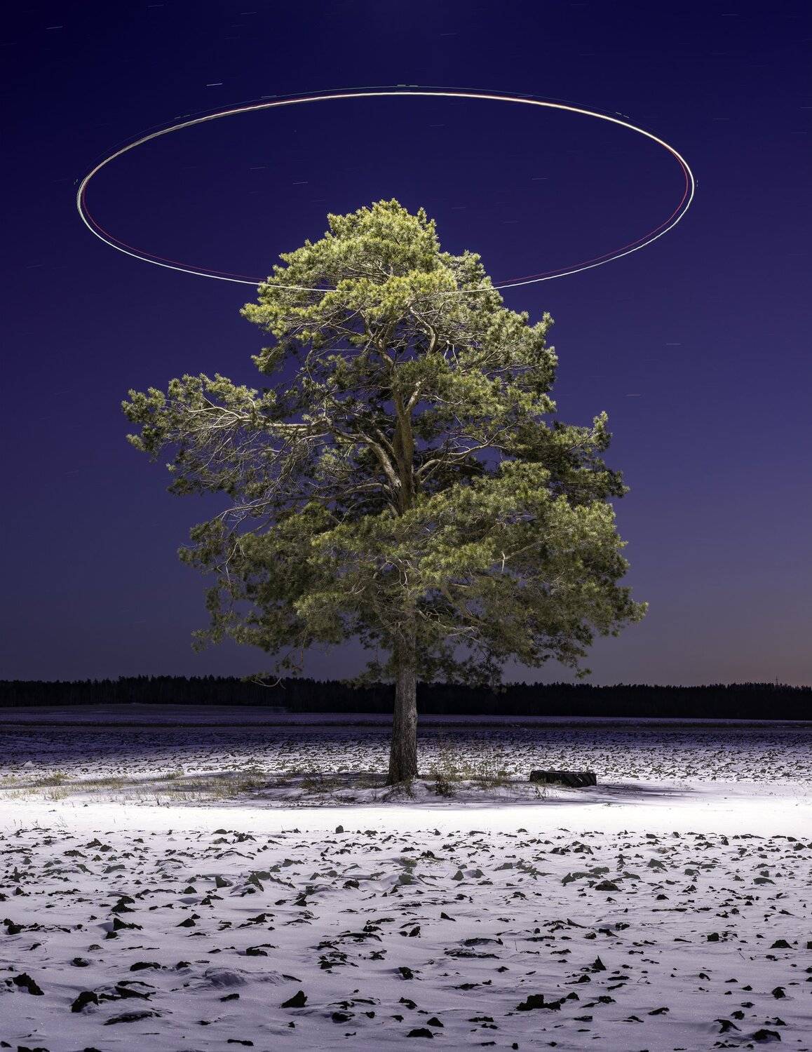 , Игорь Железняк