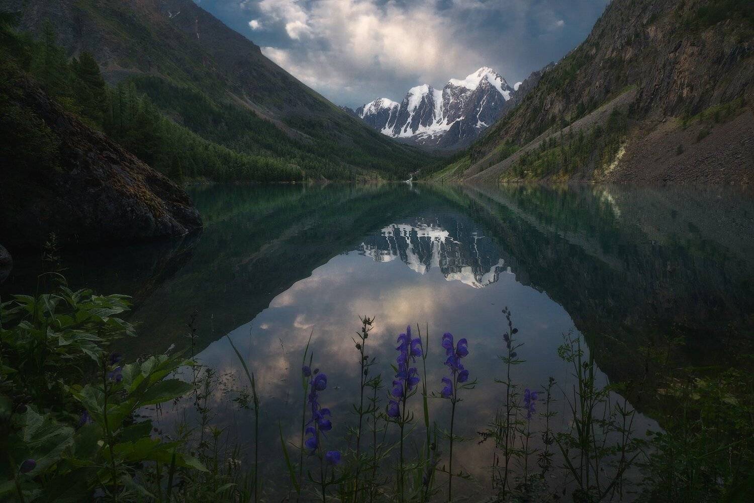 алтай, горы, шавла, Владимир Ляпин