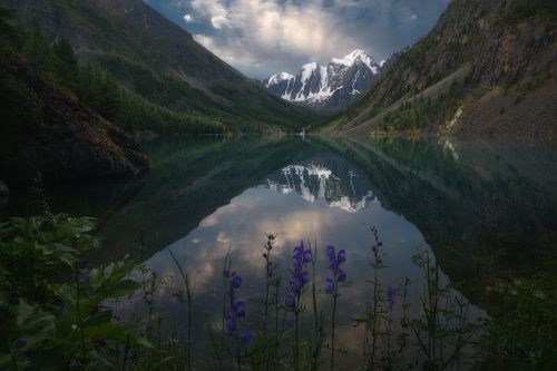 Шавлинское утро