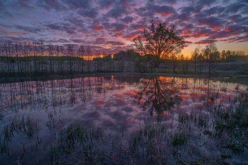 Деревенский пруд