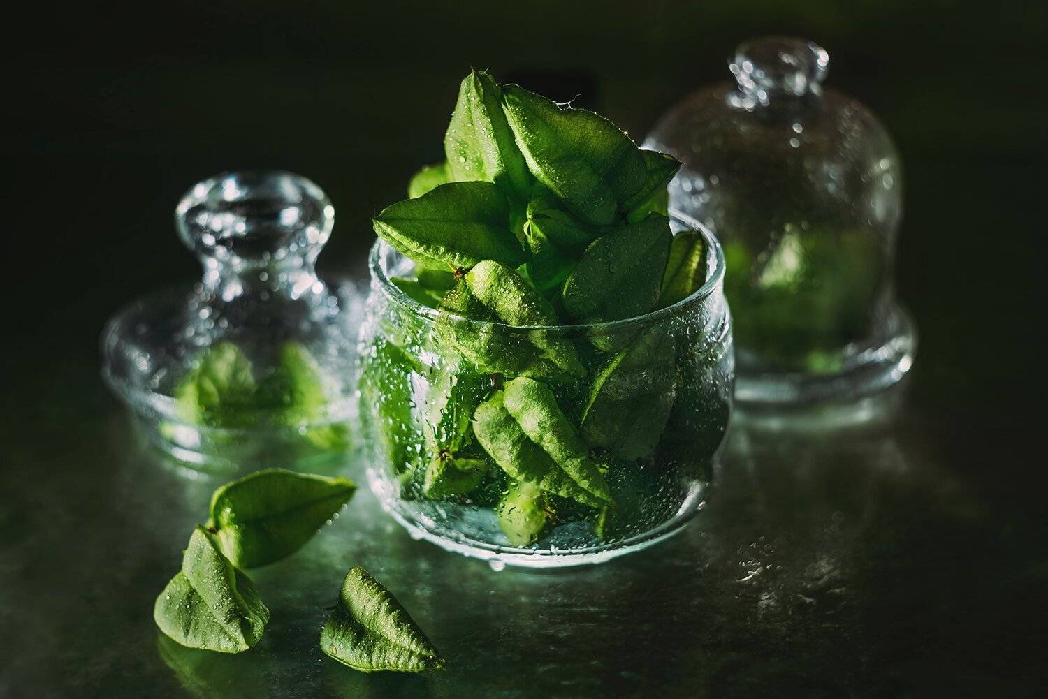 , MVO (Марк Орлов)