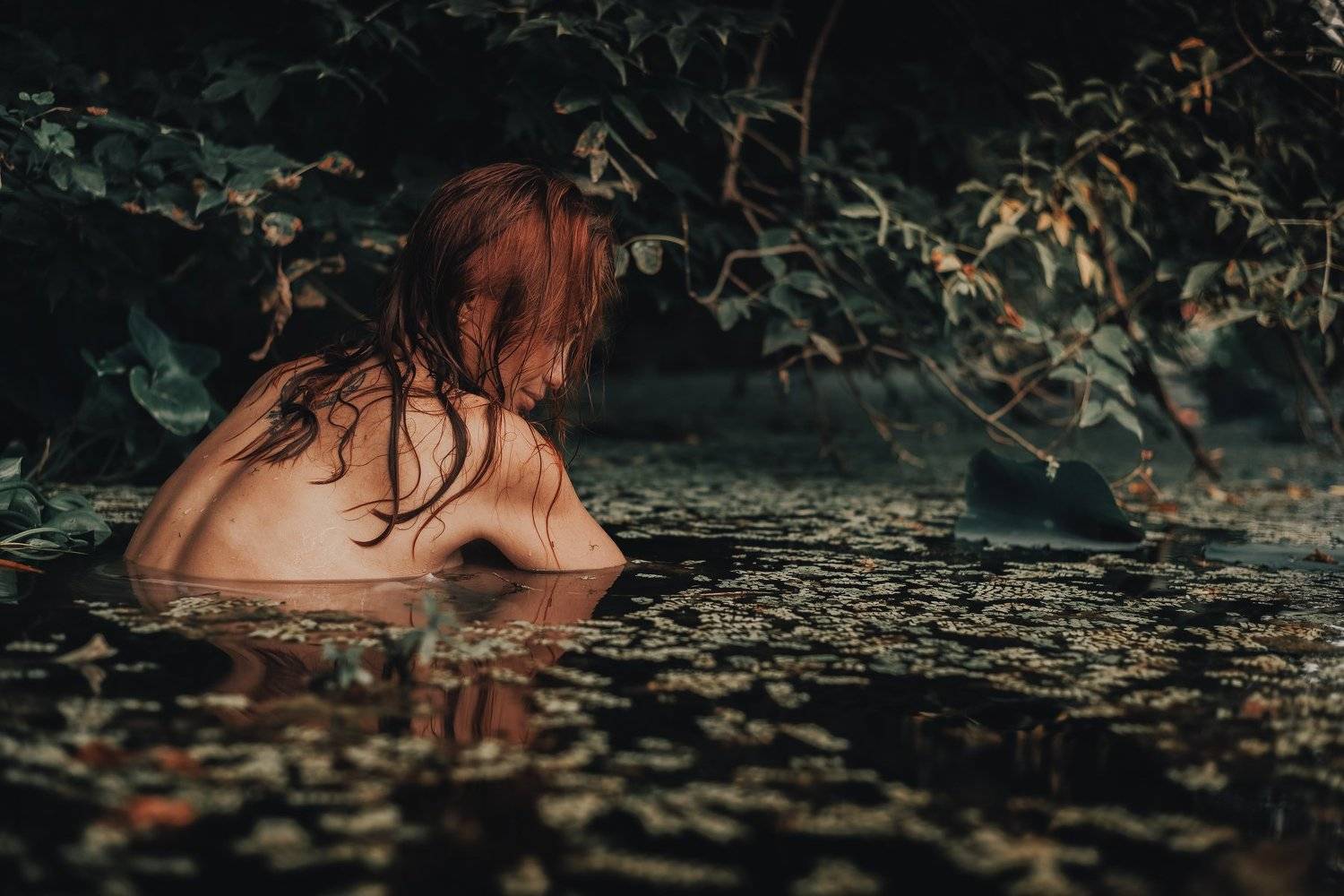 , ANTON KHOMENKO https://www.patreon.com/ant_vipp