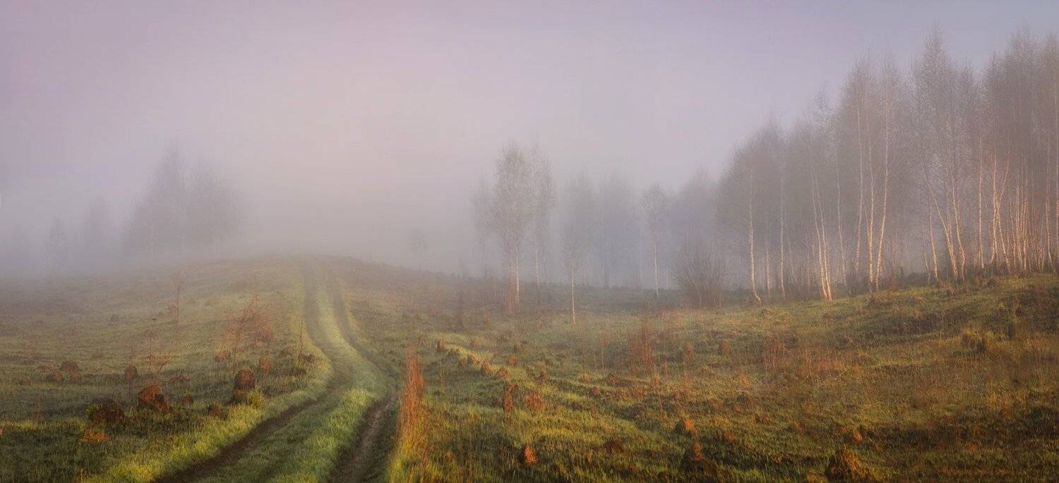 тула, майский пейзаж, Сергей Кочергин