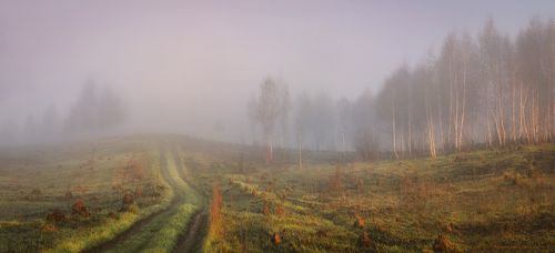 Туманным утром