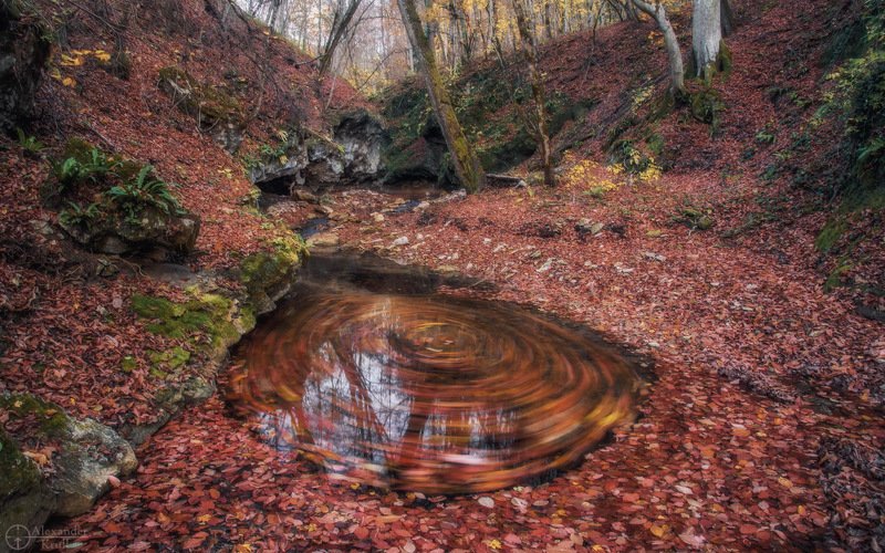 Рыжая круговерть... фото превью