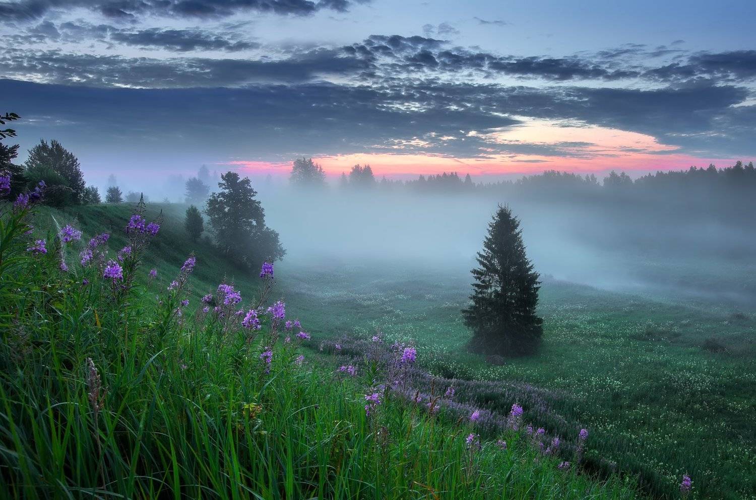 , Анна Пакутина