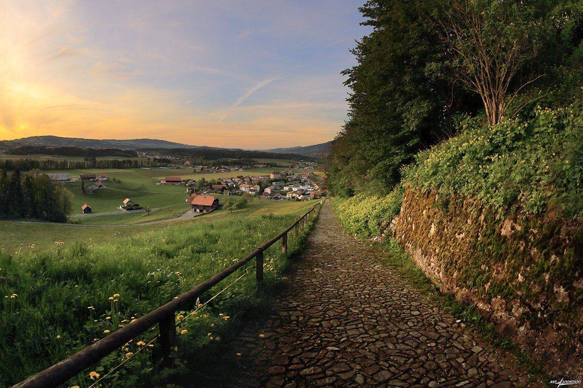 swiss, Матвеев Николай