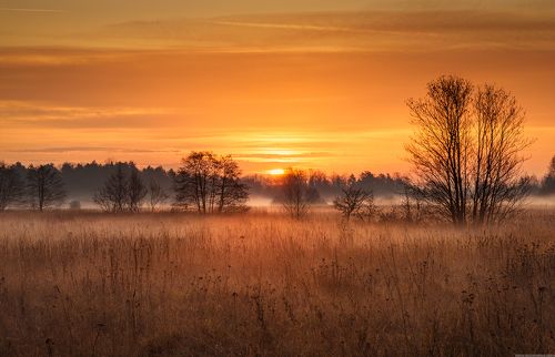 November Sunrise