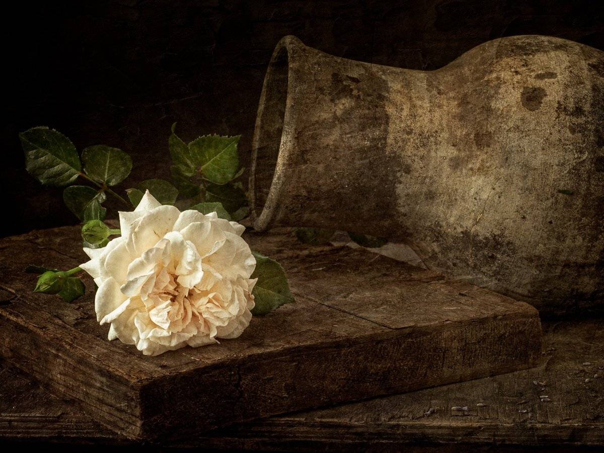 , Татьяна Аверина