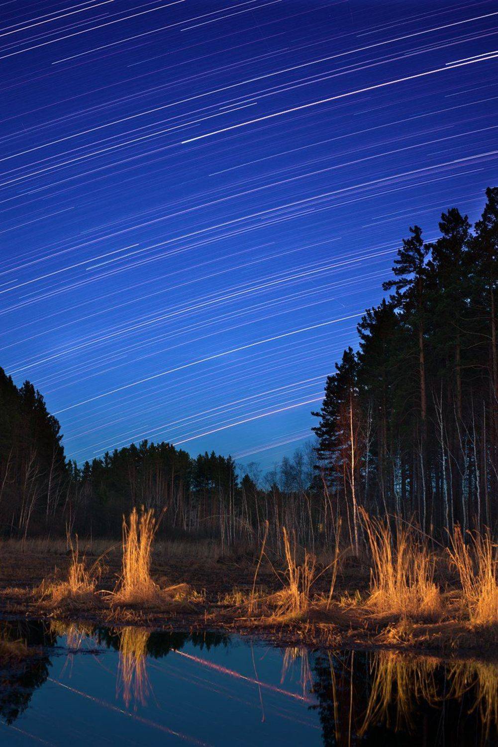 , Игорь Железняк