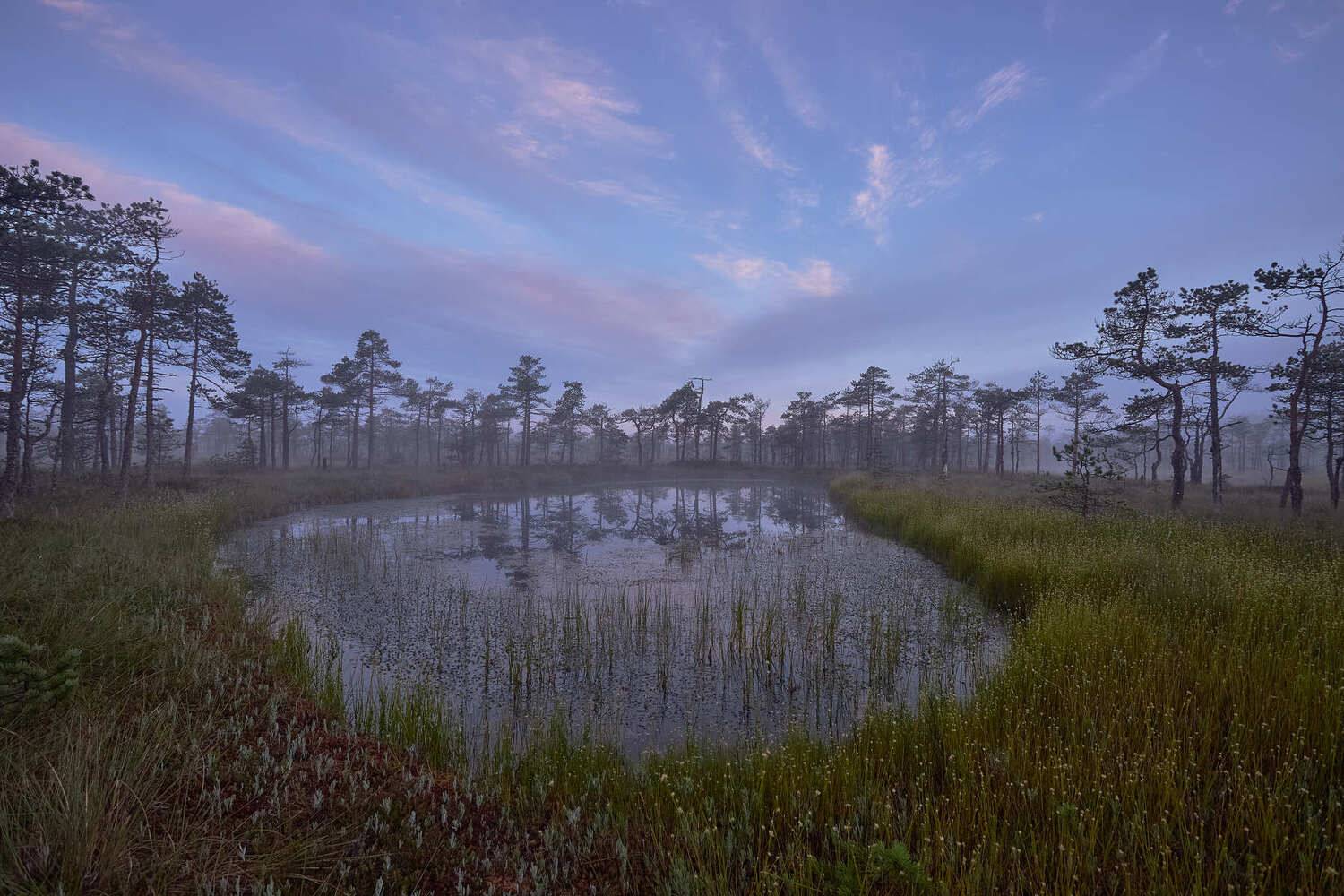 , Елена Маковоз