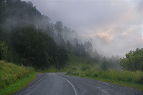 Туманный рассвет