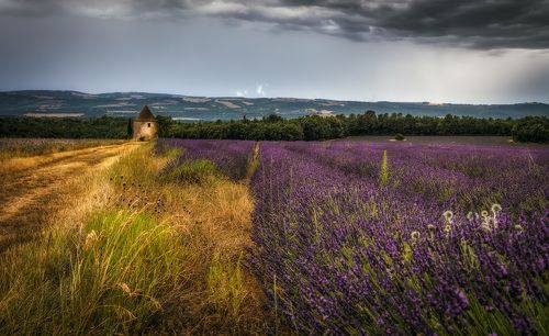 пасмурный Прованс