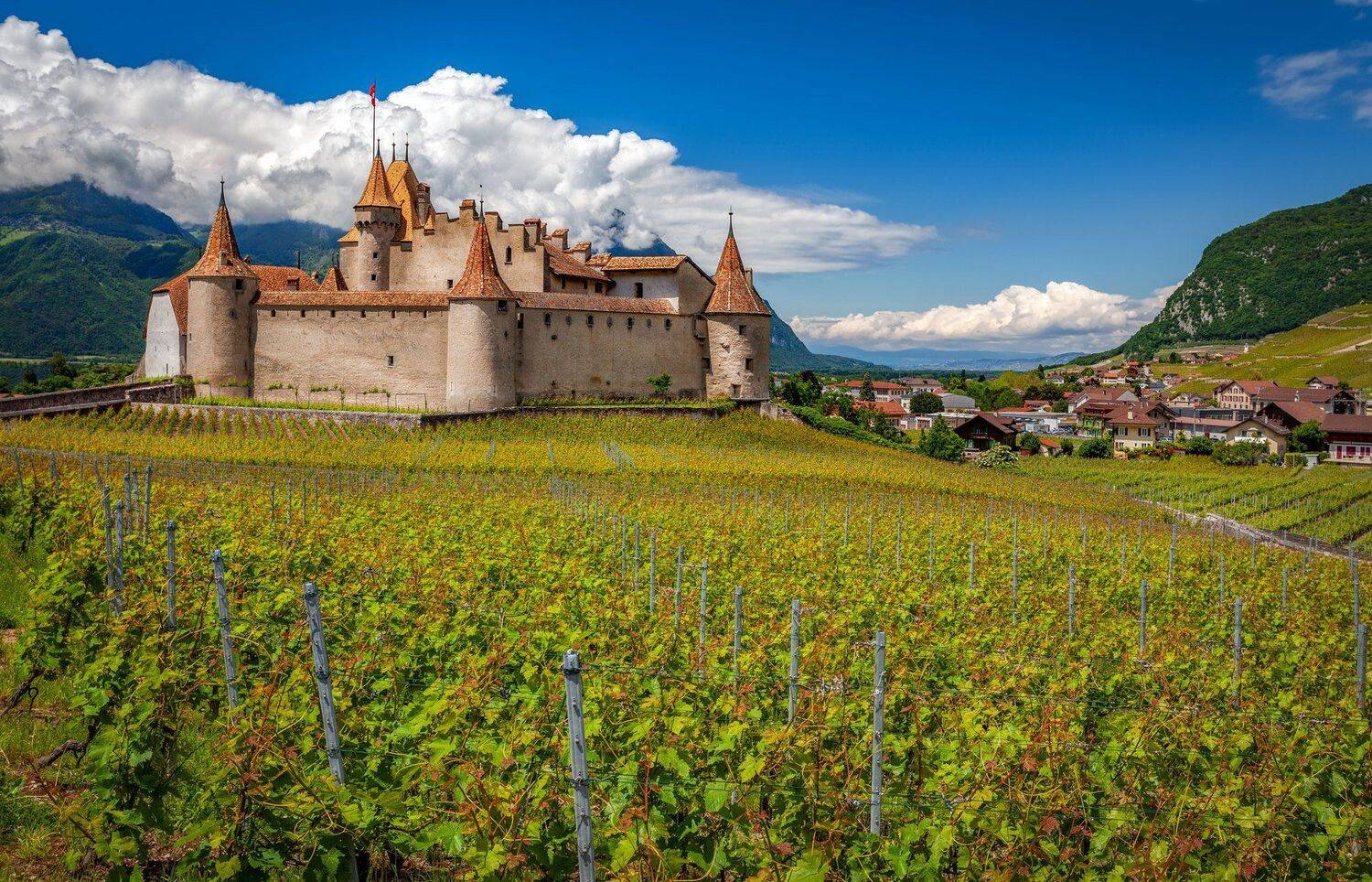 замок, виноградник, швейцария, Александр Безмолитвенный