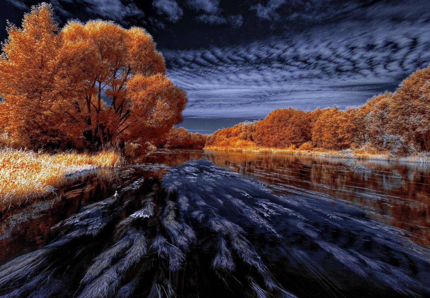 , Sixten ( Сергей )