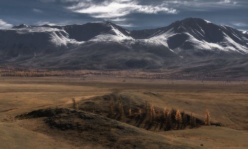 Где-то в Курайской степи...