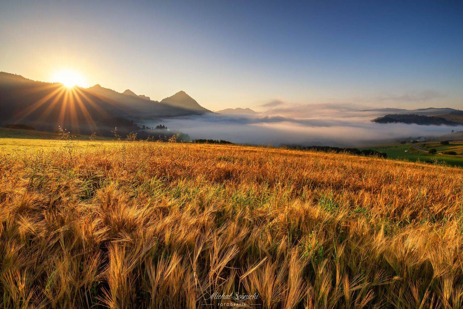 #summer #morning #sun #sunrise #foggy #pieniny #mountains, Michał Sośnicki