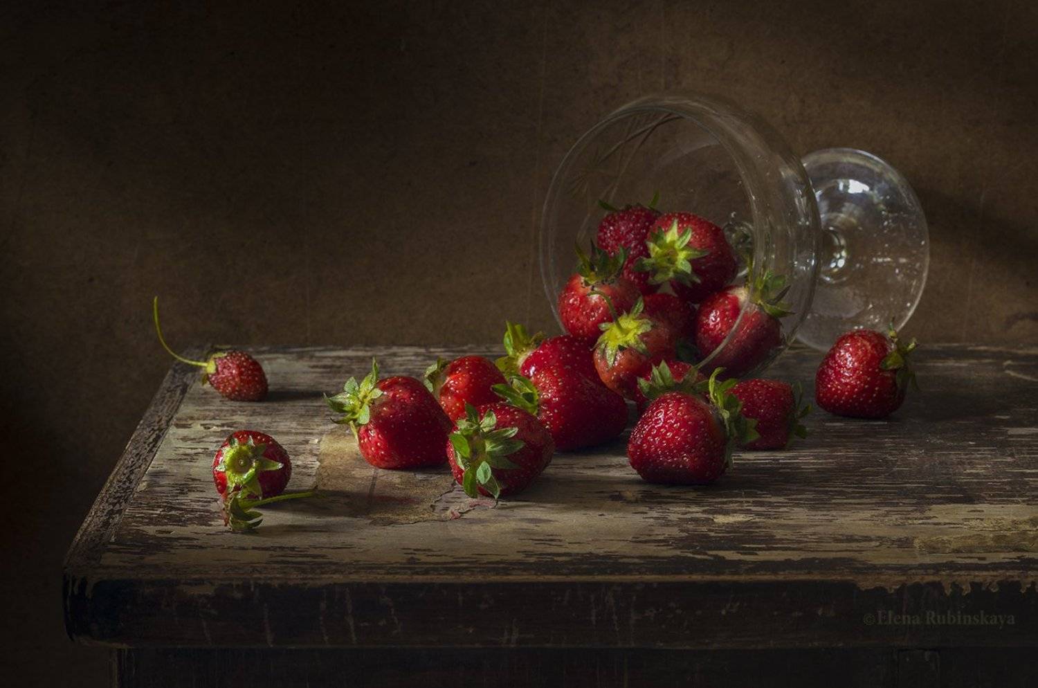 , Елена Рубинская