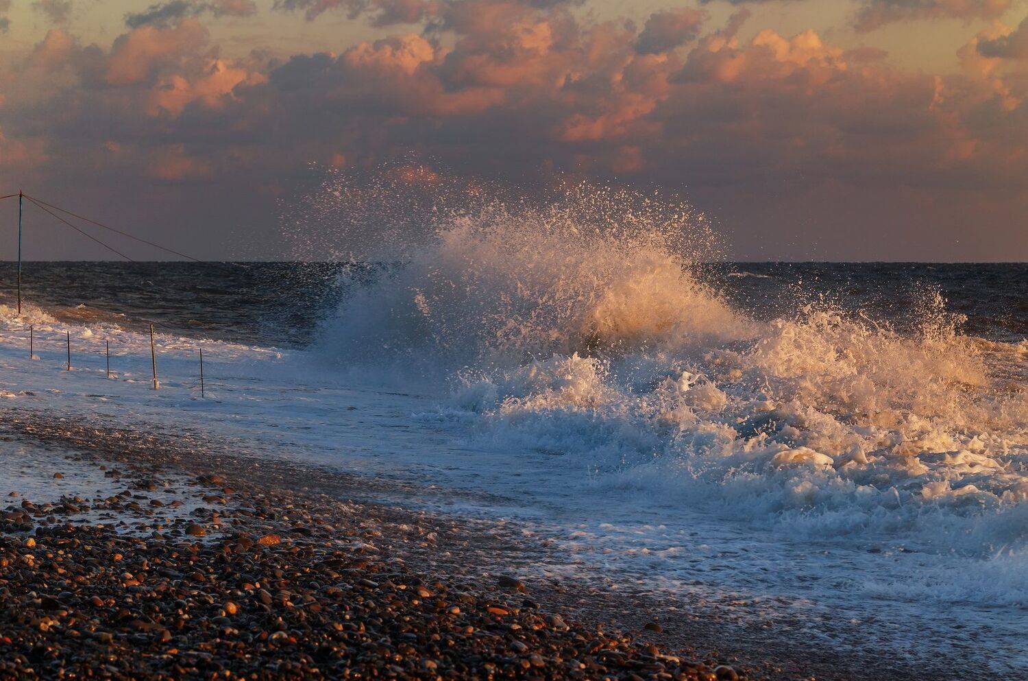 , Олег Богданов