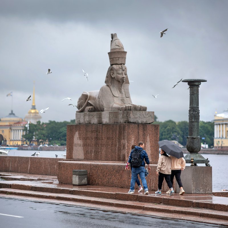 Дождь, Нева, город, набережная, сфинкс, чайки, зонтик Летний дождик на Неве фото превью