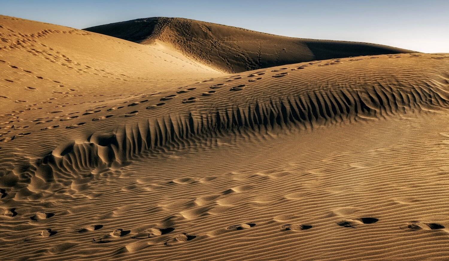 дона, песок, Александр Безмолитвенный