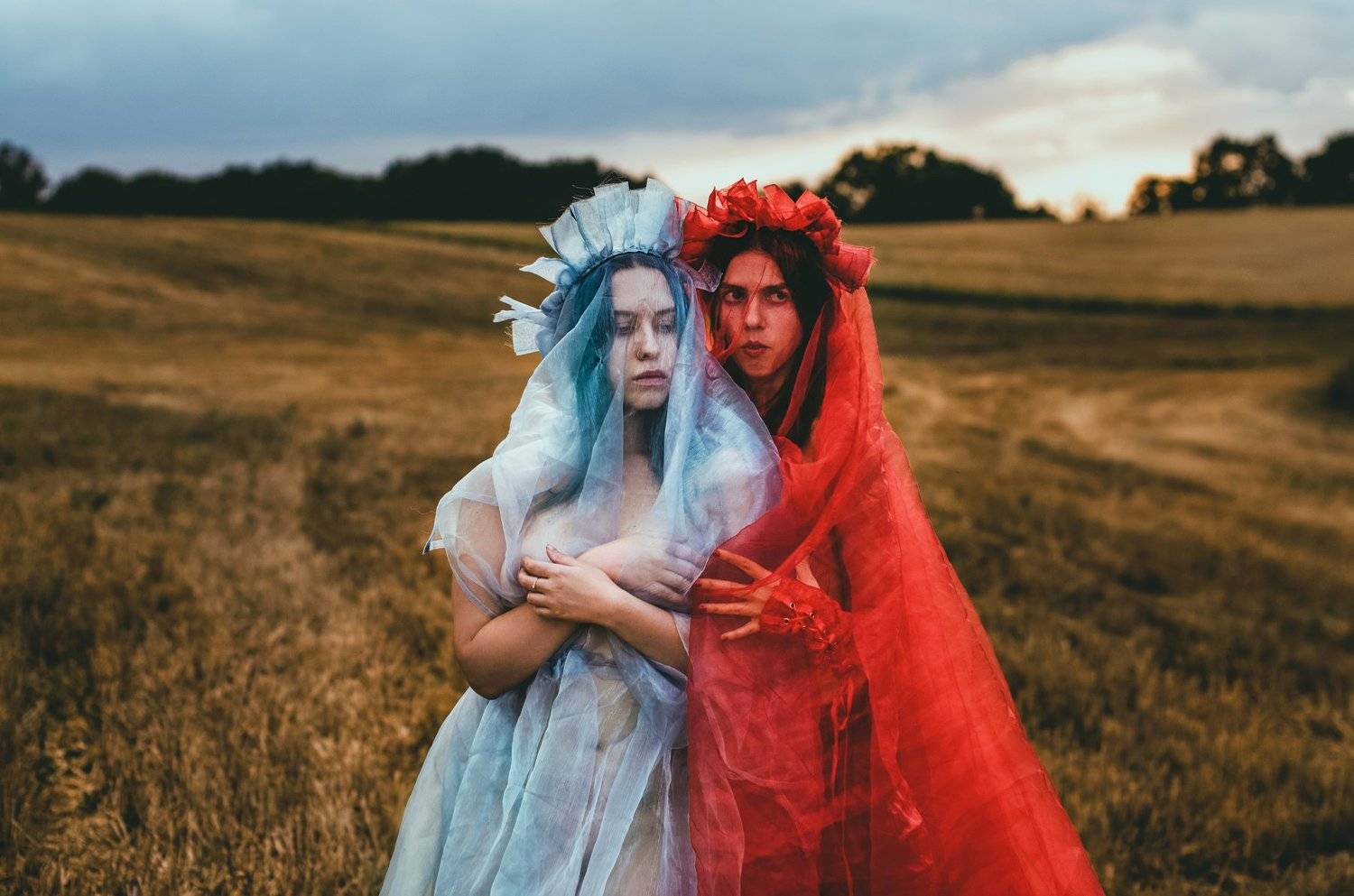 , Виталий Шевченко