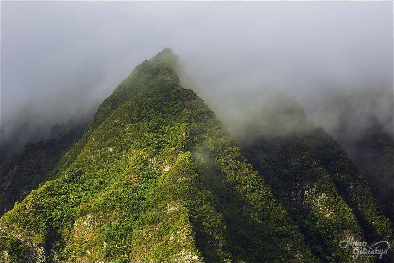 гавайи, оаху, остров, горы, фототур, пшишылны, сша. путешествие, Анна Пшишылны