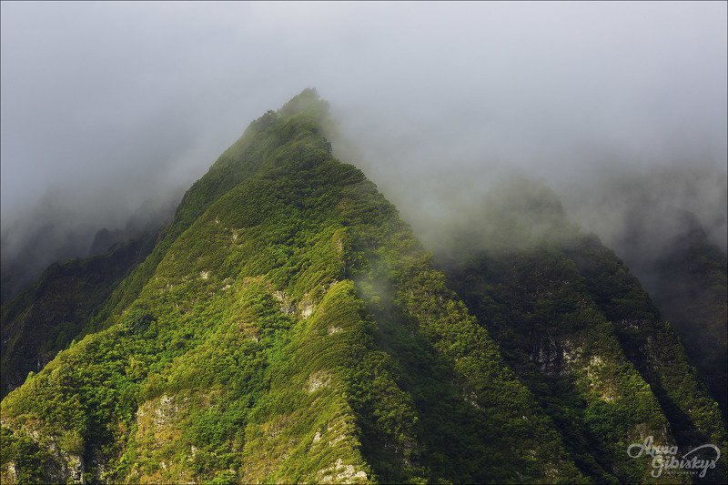 гавайи, оаху, остров, горы, фототур, пшишылны, сша. путешествие  фото превью