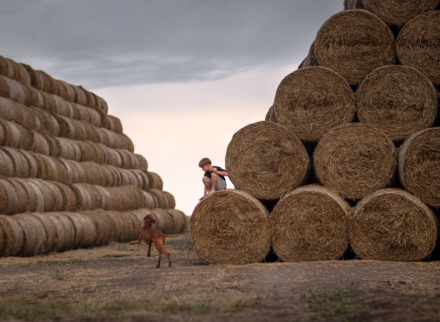 , Евгения Брусенцова