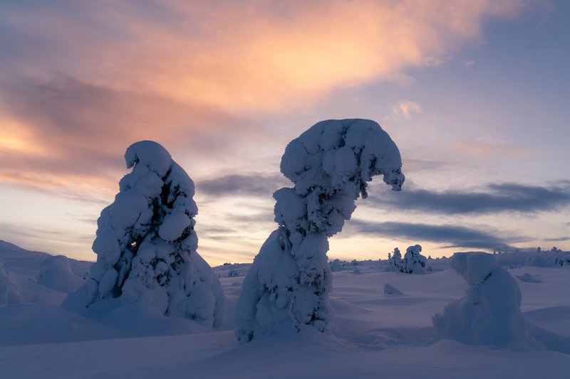 Крошка сын к отцу пришел фото превью