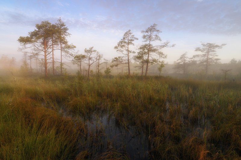 Скоро Осень.... фото превью