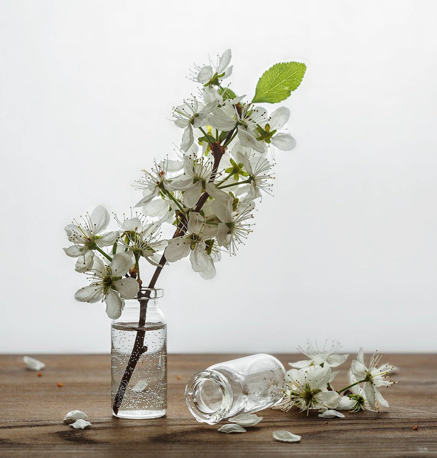 натюрморт пузырёк склянка веточка, Михаил Корнилов