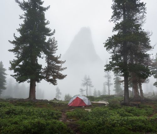 Туманное утро в Ергаках
