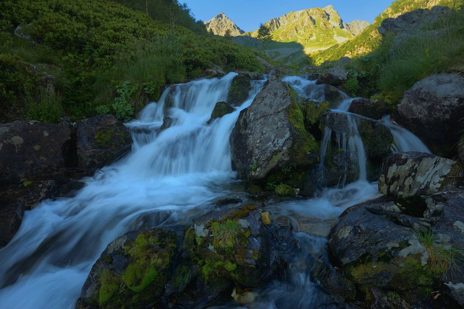 , Александр Жарников