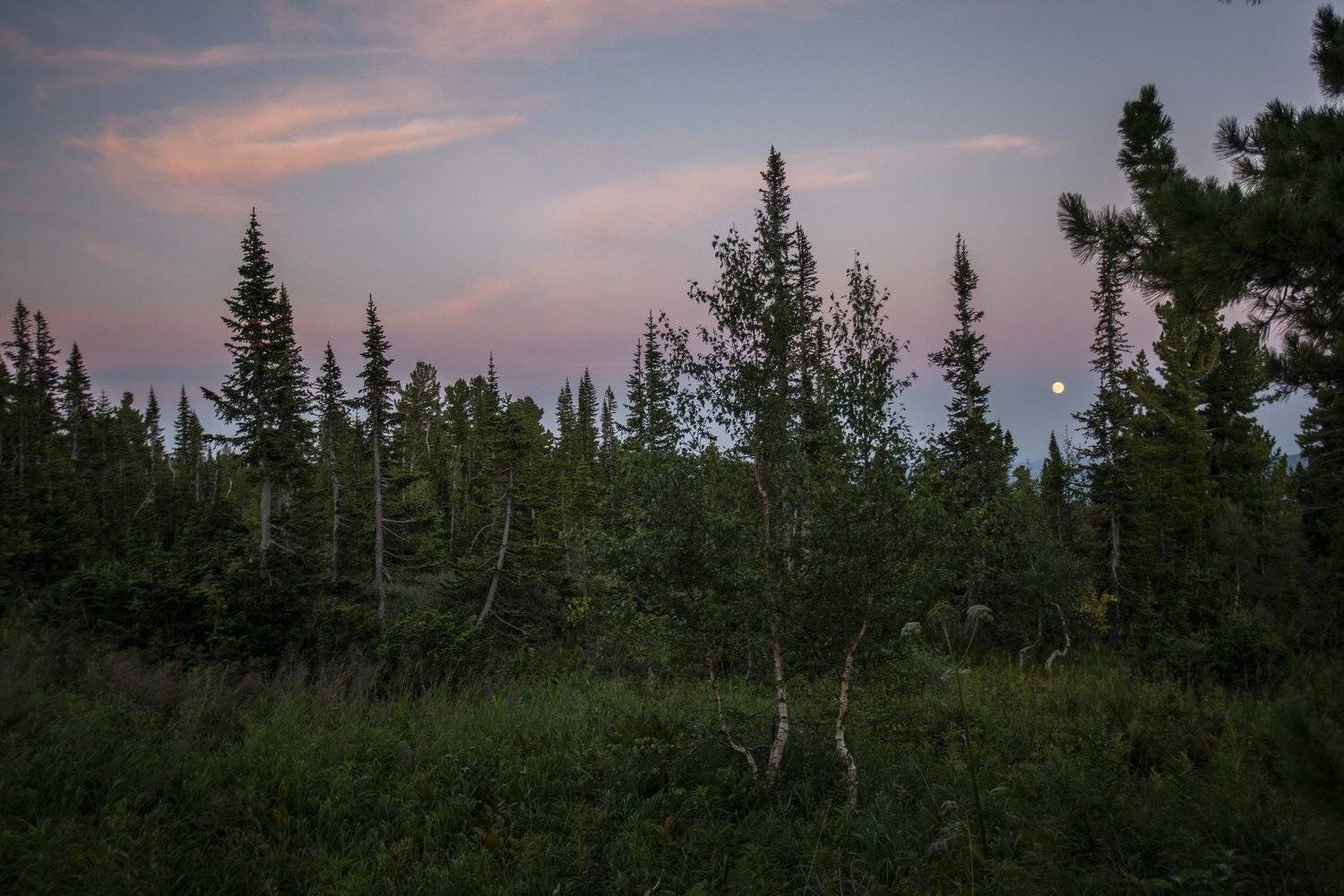 , Бахтин Вячеслав