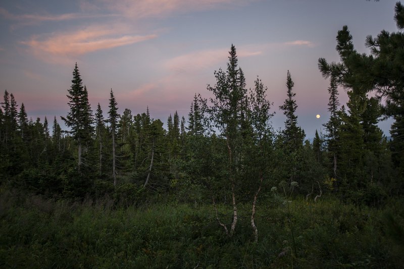 Моя Шория фото превью