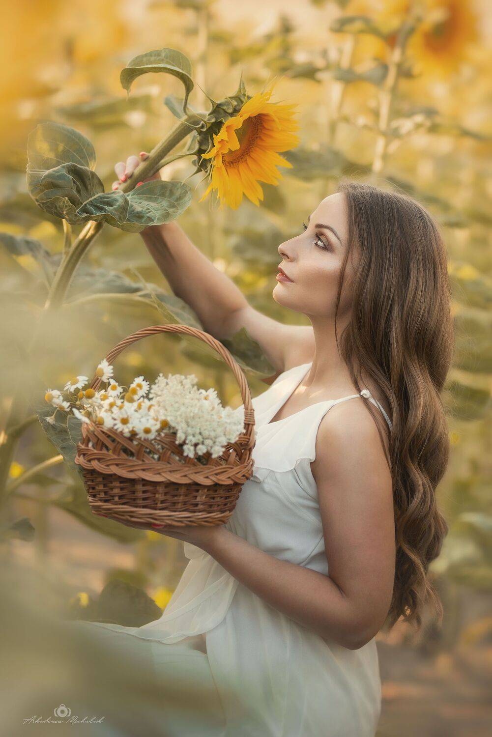 , Arkadiusz Michalak