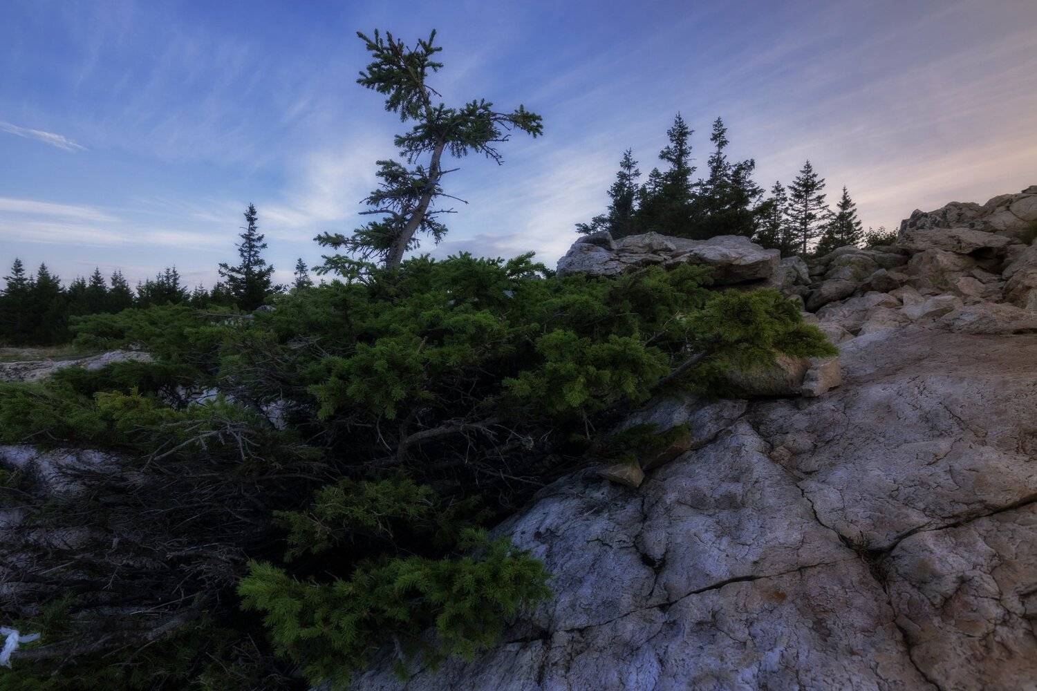 , Андрей Шарапов