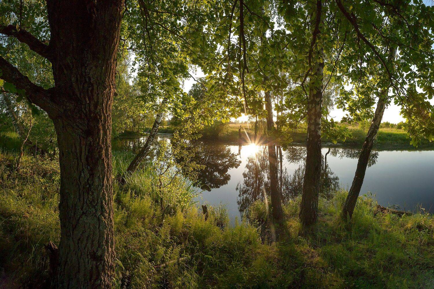 , Виталий Стрельцов