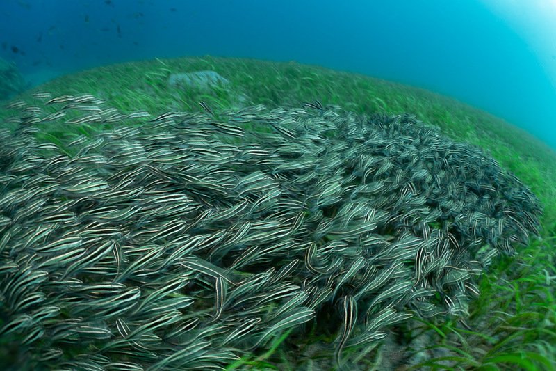 Жизнь в движении фото превью