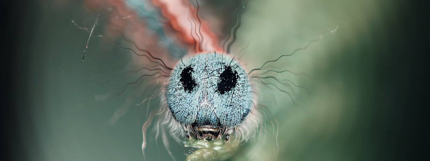 креатив, обработка, концепция, насекомое, букашка, concept, fineart, macro, insect, radiowaves, Дмитрий Салтыков