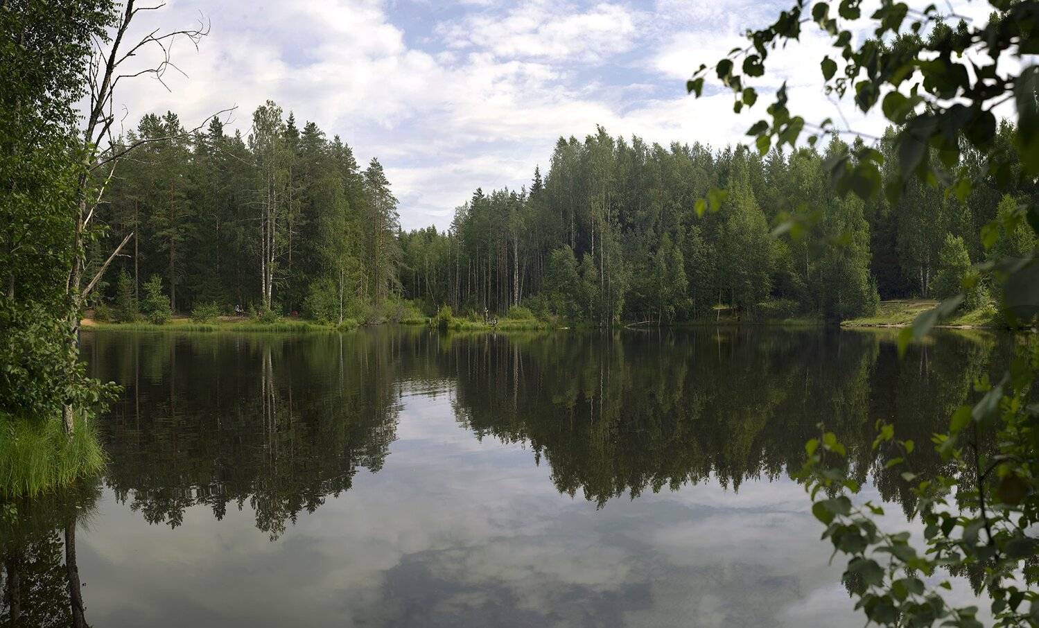 , Рут Андрей