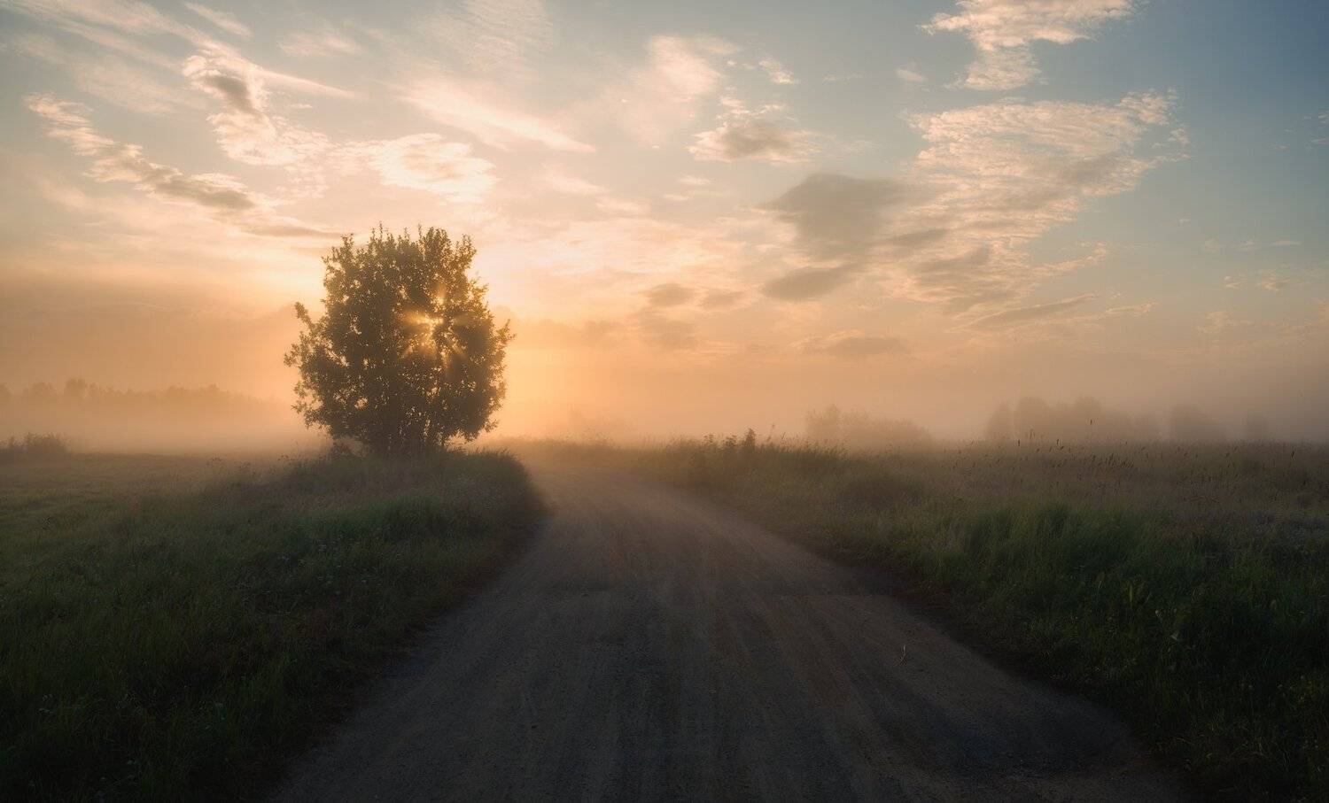 , Виталий Истомин