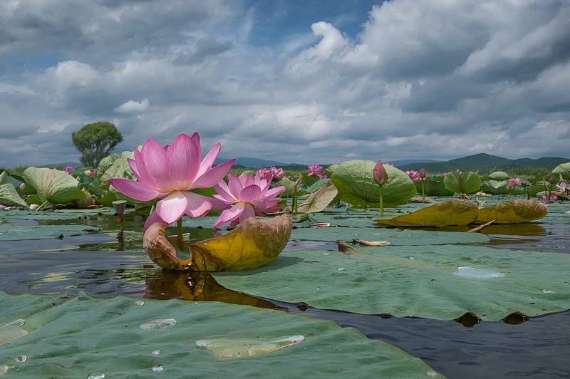 Ладья для двоих. фото превью